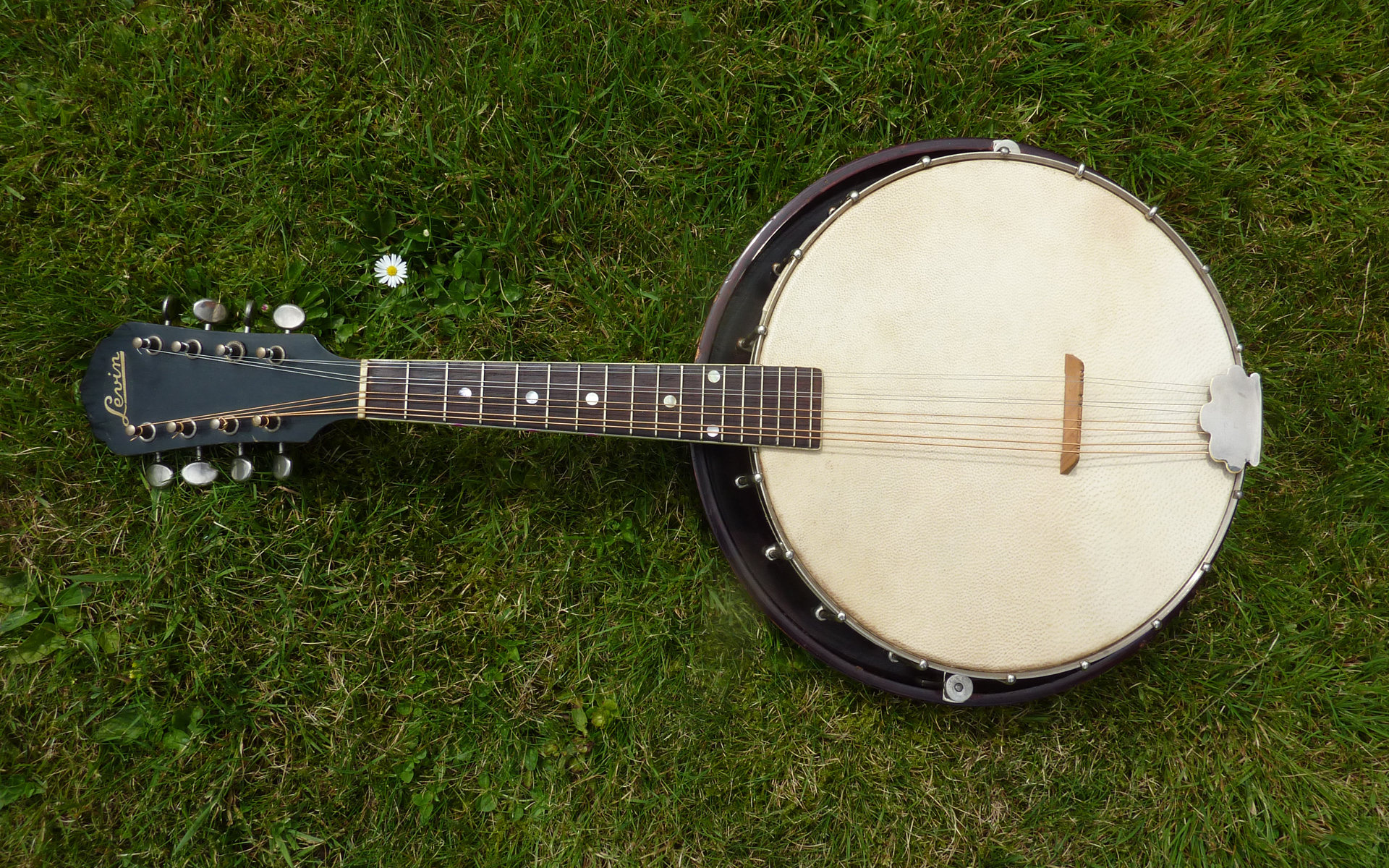 A Levin Banjolin or mandolin banjo of 1929